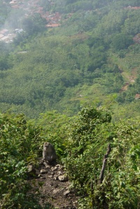 Monyet di sekitar gunung  kapur